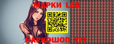 a pvp Ставрополь