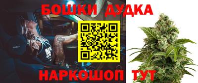 a pvp Ставрополь
